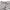 French Danton Canvas Fatigue Pants