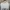 ZARA Luxury Casual Crop top Wanita white photo 2