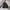 DICKIES PUFFER DOWN JACKET photo 3