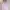 Korean Blouse Sailor Pink Wanita | Korean Blouse Wanita photo 1