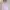 Korean Blouse Sailor Pink Wanita | Korean Blouse Wanita