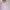 Korean Blouse Sailor Pink Wanita | Korean Blouse Wanita photo 2
