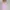 Korean Blouse Sailor Pink Wanita | Korean Blouse Wanita