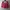 Short Pants Pink PDI photo 4