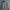 TBJ Nearby Streetwear Casual Parka Pria green photo 1