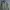 TBJ Nearby Streetwear Casual Parka Pria Green