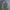 TBJ Nearby Streetwear Casual Parka Pria green photo 2
