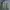 TBJ Nearby Streetwear Casual Parka Pria green photo 4
