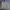 Vintage Y2K Harrington jacket Pria gray photo 1