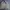 Vintage Y2K Harrington jacket Pria gray photo 2