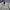 Vintage Y2K Harrington jacket Pria gray photo 3