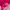 AMI Paris Logo Hati (Pink Fuschia) photo 5