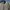 Vintage Y2K Harrington jacket Pria green photo 3