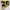 NHL BOSTON BRUINS photo 2
