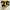 NHL BOSTON BRUINS