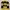 NHL BOSTON BRUINS