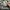 Fred Perry Casual Capes & poncho Pria gray photo 8