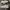 Nike Af 1 Low Rattan photo 3