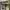 Nike Af 1 Low Rattan photo 5