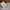 Adidas Adicane Clog photo 2