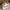 Adidas Adicane Clog photo 1