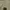 Dickies Casual Maxi skirt Wanita khaki photo 4
