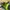 Crumpler 5 Million Dollar Home Camera Bag photo 7