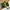 Crumpler 5 Million Dollar Home Camera Bag photo 5