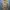 Japanese brand Vintage Casual Trench coat Wanita tan photo 1