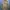 Japanese Brand Vintage Casual Trench Coat Wanita Tan