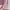 Formal Blouse Pink photo 2