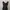 Minidress Plisket / Minidress Hitam photo 3