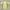 Casual Polo shirt Pria yellow photo 4