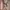 Michael Kors Half Moon Leather Crossbody bag photo 6