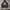 XLARGE MIND OF MATTER photo 1
