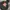 XLARGE MIND OF MATTER photo 2