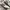 ADIDAS SAMBA BRUGUNDY photo 2