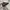NIKE AIR MAX PLUS TN photo 4