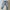 Denim Ripped Jeans | Celana Jeans  | Light Blue Denim Jeans