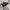 NIKE AIR FORCE 1 photo 4