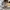 VANS OLD SKOOL MULE PATTERN photo 6