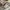 VANS OLD SKOOL MULE PATTERN photo 2