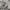 VANS OLD SKOOL MULE PATTERN photo 1