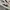 VANS ERA MOTHER EARTH  photo 2