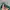 Vintage Hat Pria green photo 4