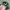 Vintage Hat Pria green photo 3