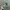 Vintage Hat Pria green photo 1
