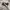 CONVERSE CUCHK TYLOR photo 1