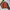 TOMMY HILFIGER ULTRALIGHT DOWN JACKET photo 5