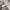 VANS AUTHENTIC WOVEN photo 3